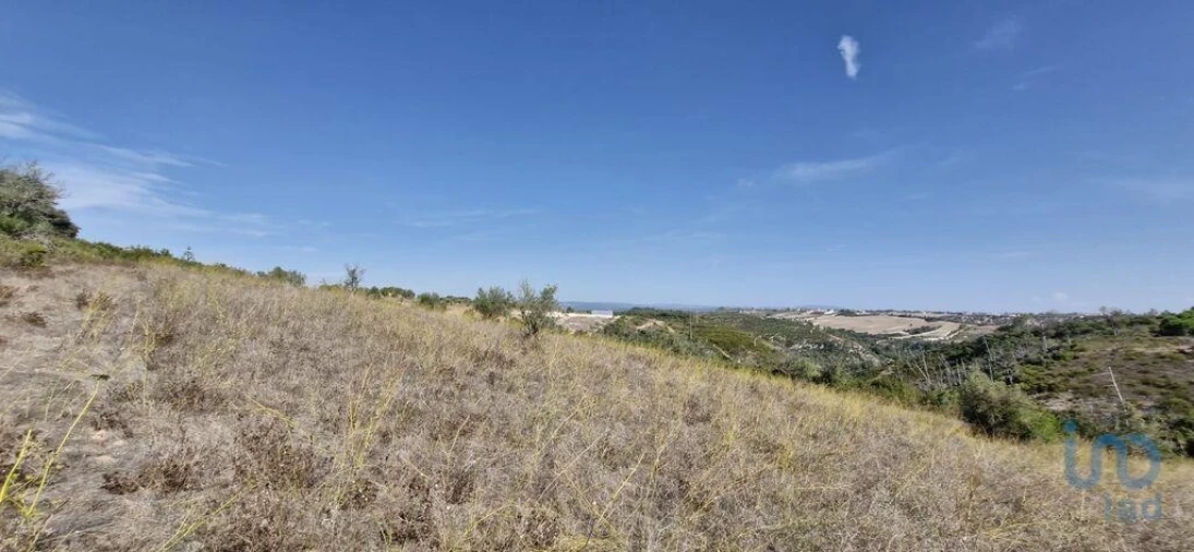 Terreno para Venda em Abitureiras Foto 8