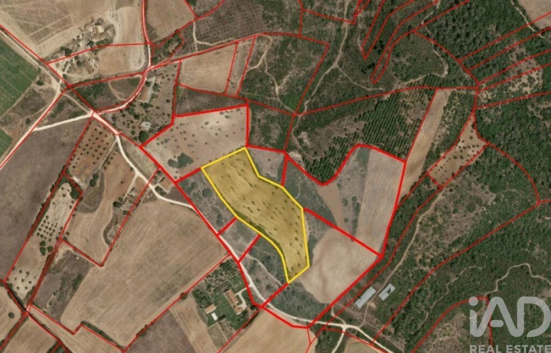 Terreno para Venda em Abitureiras Foto 24