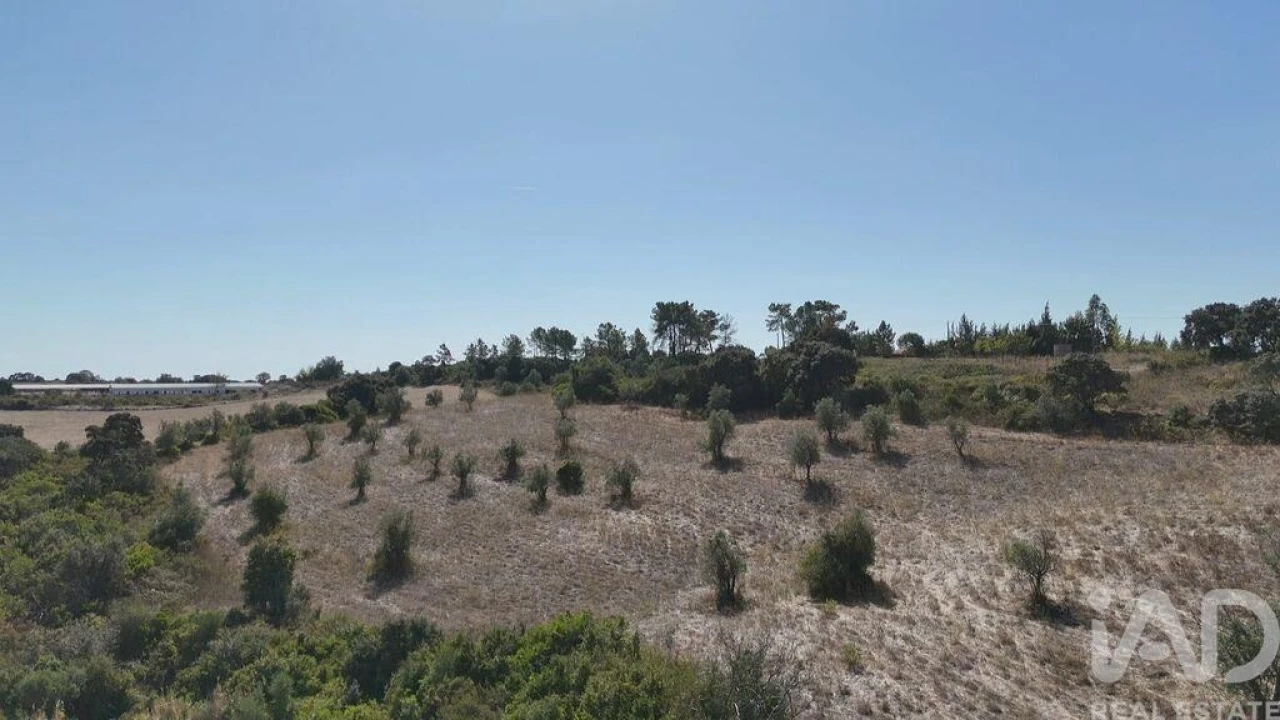 Terreno para Venda em Abitureiras Foto 17