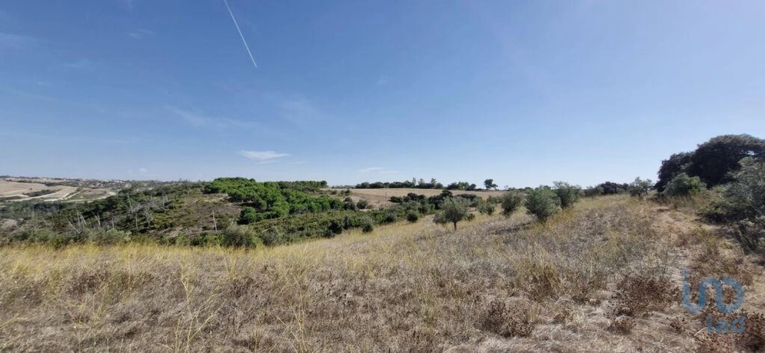 Terreno para Venda em Abitureiras Foto 3