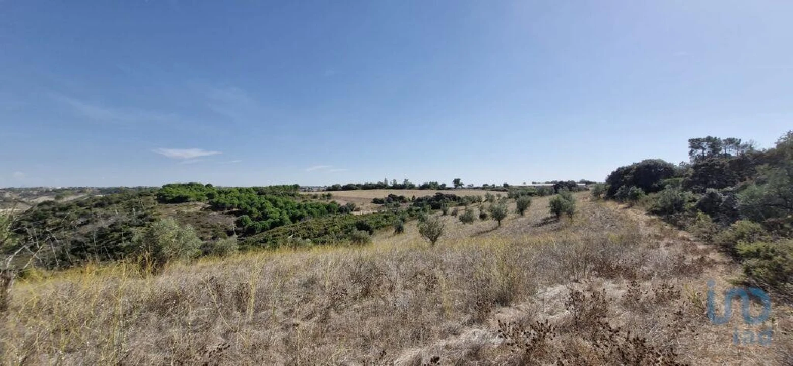 Terreno para Venda em Abitureiras Foto 4