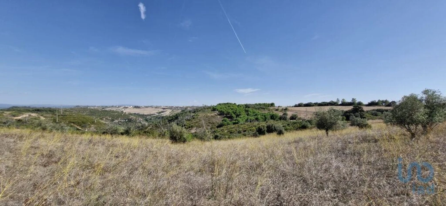 Terreno para Venda em Abitureiras Foto 9