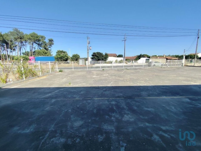 Armazém para Venda em Aveiras de Baixo Foto 2