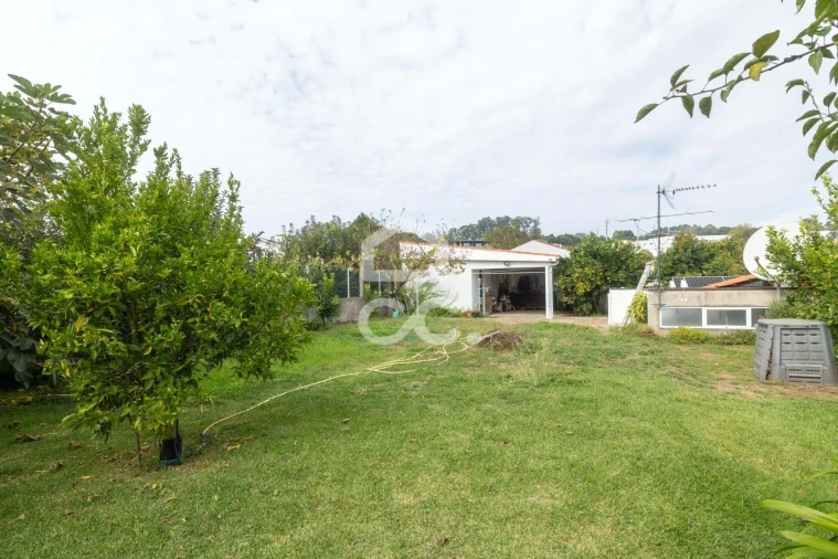 Moradia T4 para Venda em Gavião Foto 66