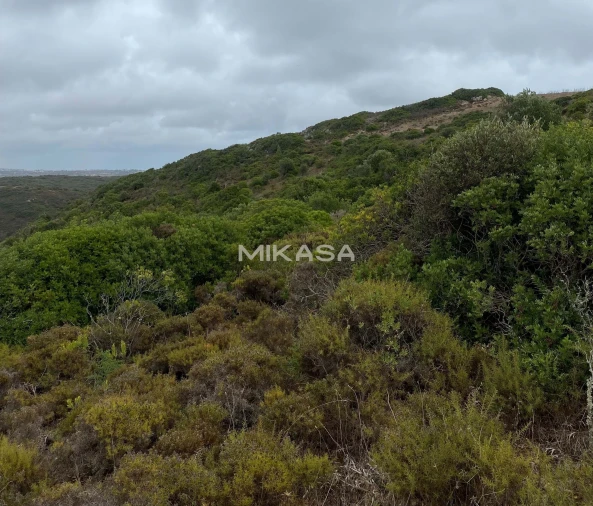 Terreno Agricola ou Rústico para Venda em Budens Foto 1