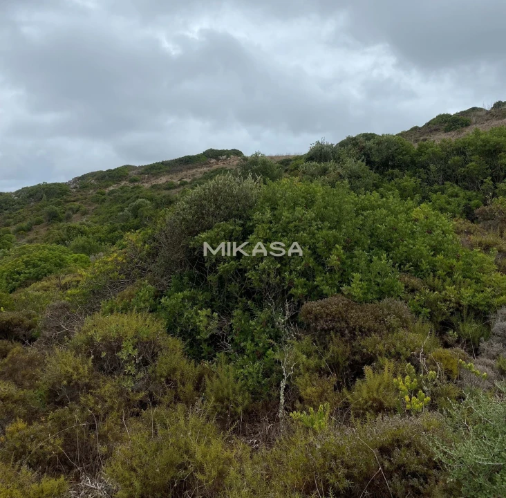 Terreno Agricola ou Rústico para Venda em Budens Foto 2