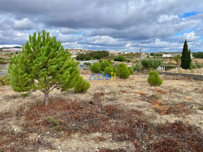 Terreno para Venda em Castelo Branco Foto 6