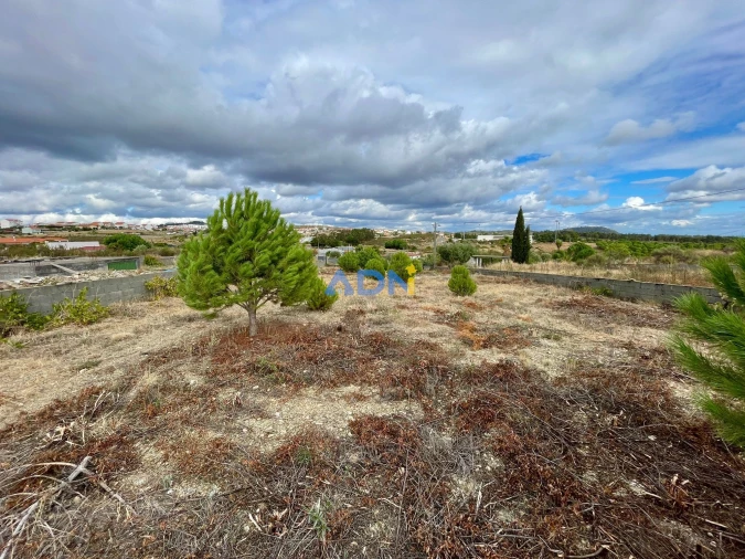 Terreno para Venda em Castelo Branco Foto 5