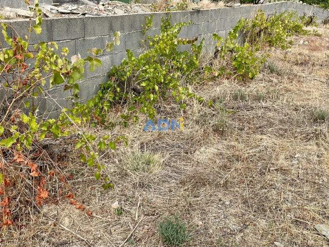 Terreno para Venda em Castelo Branco Foto 4