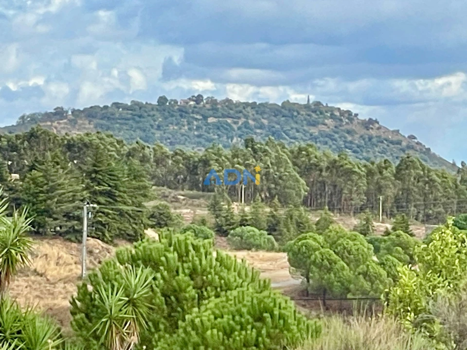 Terreno para Venda em Castelo Branco Foto 9