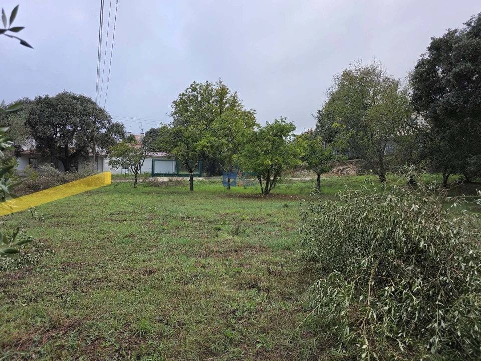 Terreno para Venda em Fatima Foto 23