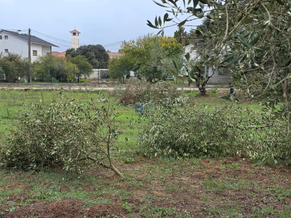 Terreno para Venda em Fatima Foto 16