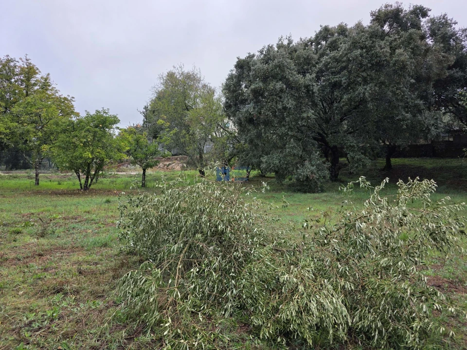 Terreno para Venda em Fatima Foto 24