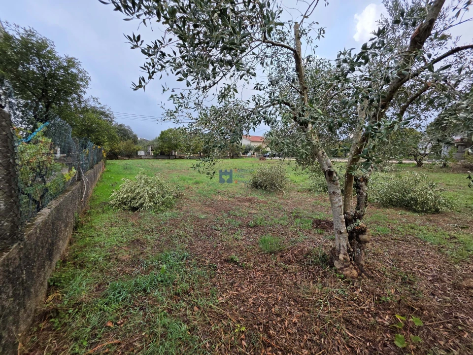 Terreno para Venda em Fatima Foto 13