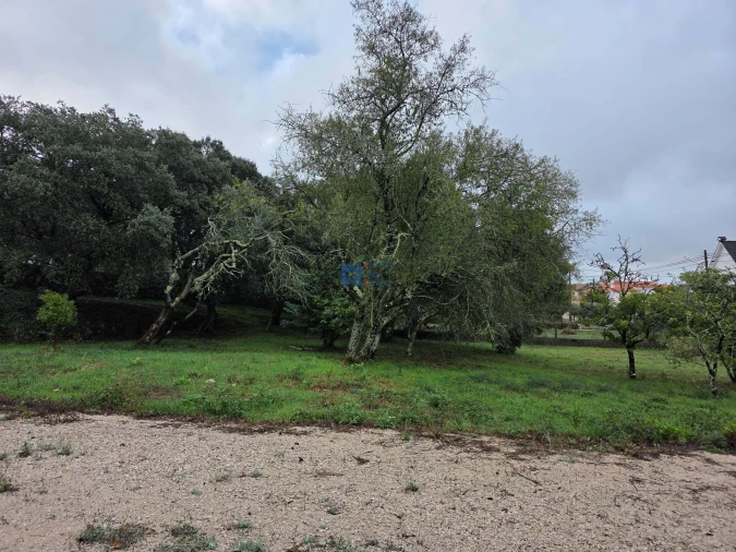 Terreno para Venda em Fatima Foto 30
