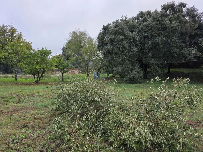 Terreno para Venda em Fatima Foto 24