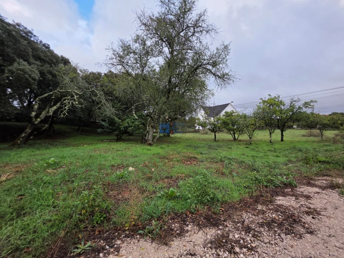 Terreno para Venda em Fatima Foto 35