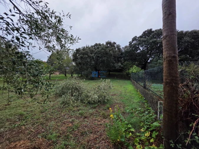 Terreno para Venda em Fatima Foto 21