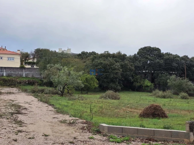 Terreno para Venda em Fatima