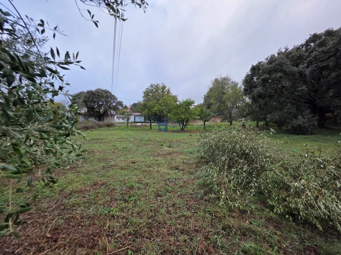 Terreno para Venda em Fatima Foto 22