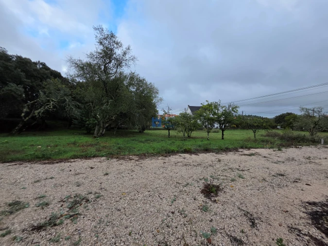 Terreno para Venda em Fatima Foto 32