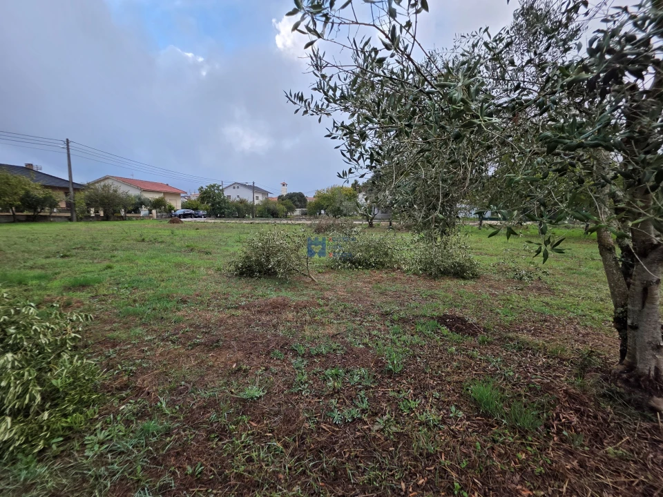 Terreno para Venda em Fatima Foto 17