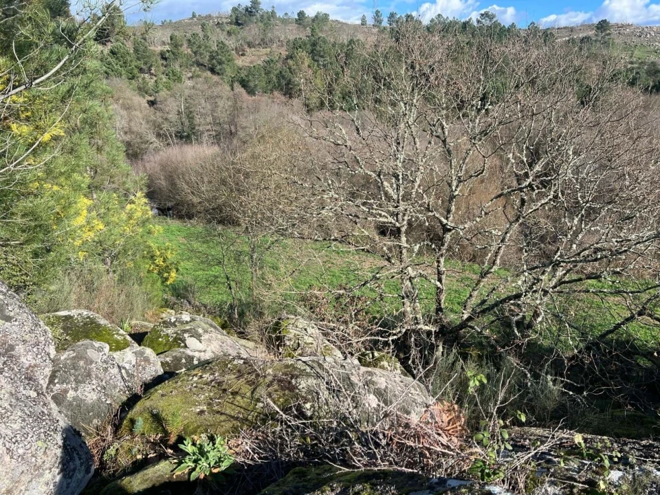 Quinta T3 para Venda em Castelo Mendo, Ade, Monteperobolso e Mesquitela Foto 9