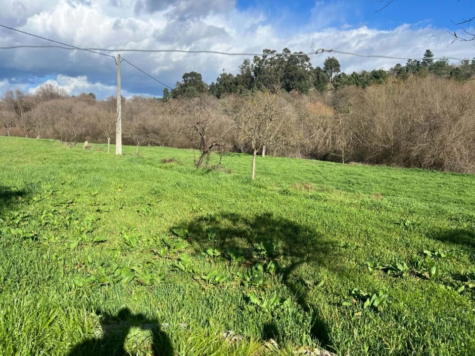 Quinta T3 para Venda em Castelo Mendo, Ade, Monteperobolso e Mesquitela Foto 10