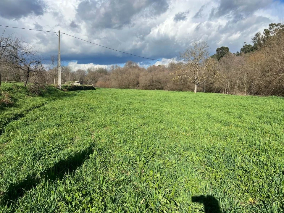 Quinta T3 para Venda em Castelo Mendo, Ade, Monteperobolso e Mesquitela Foto 12