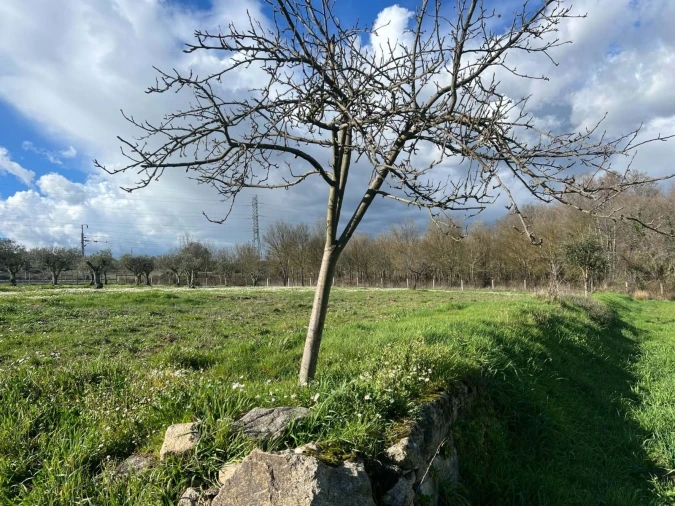 Quinta T3 para Venda em Castelo Mendo, Ade, Monteperobolso e Mesquitela Foto 18