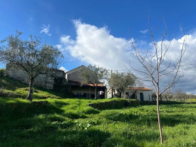 Quinta T3 para Venda em Castelo Mendo, Ade, Monteperobolso e Mesquitela Foto 15