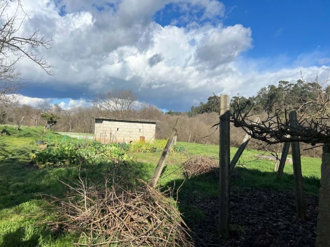 Quinta T3 para Venda em Castelo Mendo, Ade, Monteperobolso e Mesquitela Foto 16