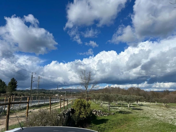 Quinta T3 para Venda em Castelo Mendo, Ade, Monteperobolso e Mesquitela Foto 20