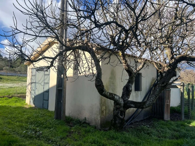 Quinta T3 para Venda em Castelo Mendo, Ade, Monteperobolso e Mesquitela Foto 3