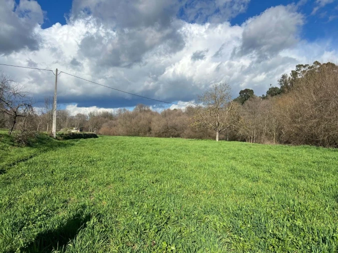 Quinta T3 para Venda em Castelo Mendo, Ade, Monteperobolso e Mesquitela Foto 24