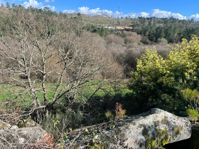 Quinta T3 para Venda em Castelo Mendo, Ade, Monteperobolso e Mesquitela Foto 23
