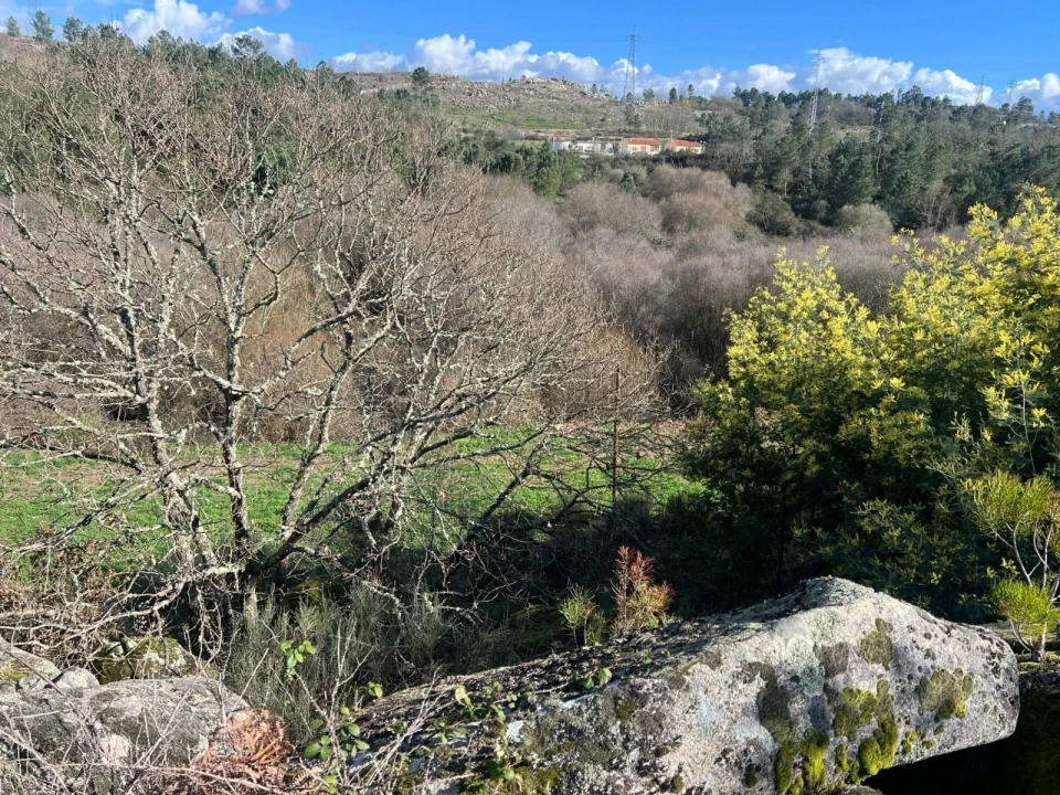 Quinta T3 para Venda em Castelo Mendo, Ade, Monteperobolso e Mesquitela Foto 23