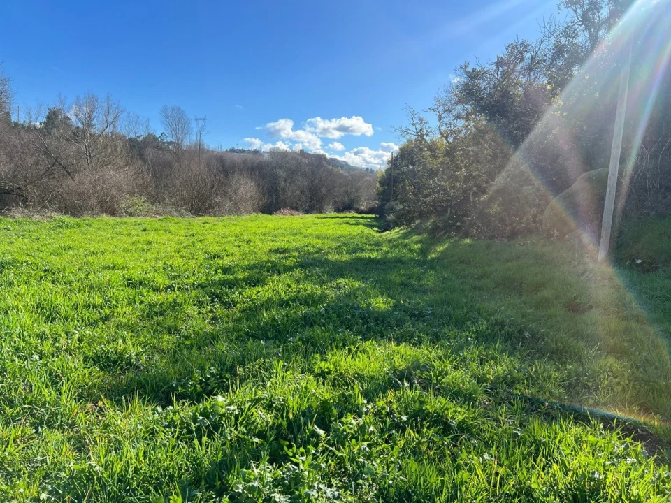 Quinta T3 para Venda em Castelo Mendo, Ade, Monteperobolso e Mesquitela Foto 11