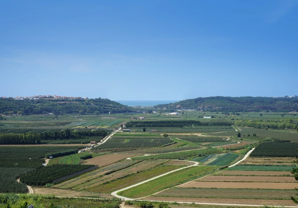 Moradia T3 para Venda em Alcobaça e Vestiaria Foto 10