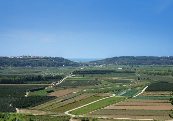 Moradia T3 para Venda em Alcobaça e Vestiaria Foto 10