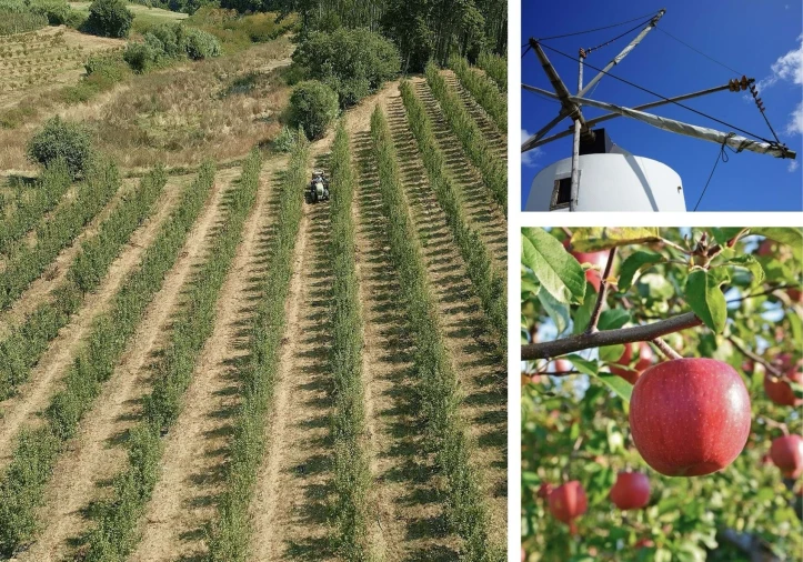 Moradia T3 para Venda em Alcobaça e Vestiaria Foto 12