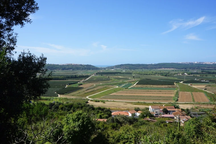 Moradia T3 para Venda em Alcobaça e Vestiaria Foto 21
