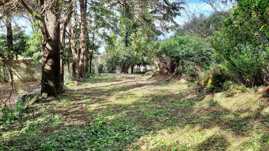 Terreno para Venda em Agualva e Mira-Sintra Foto 5