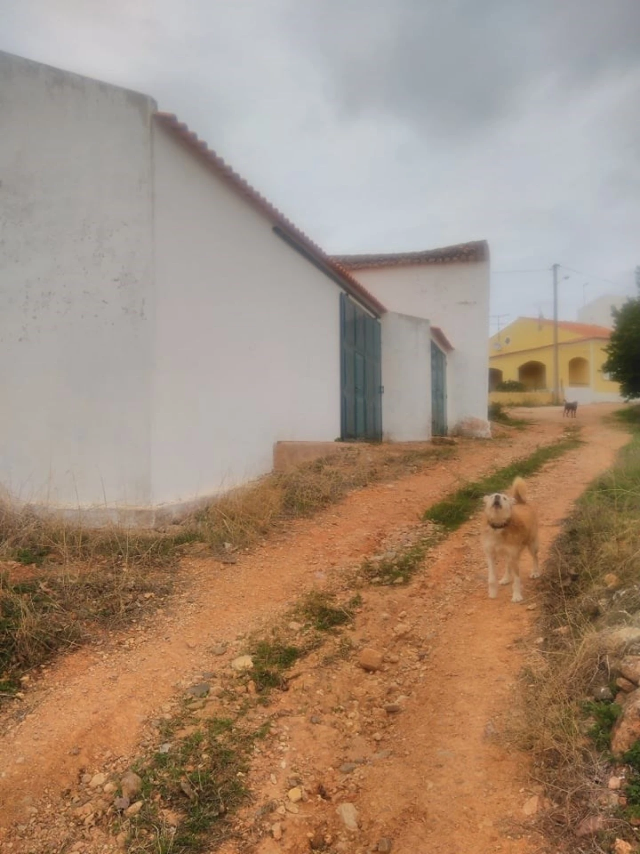 Quinta para Venda em São Silvestre Foto 4