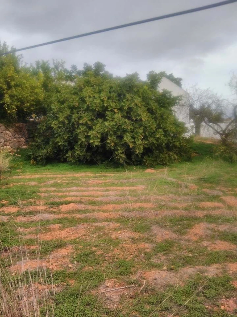 Quinta para Venda em São Silvestre Foto 6