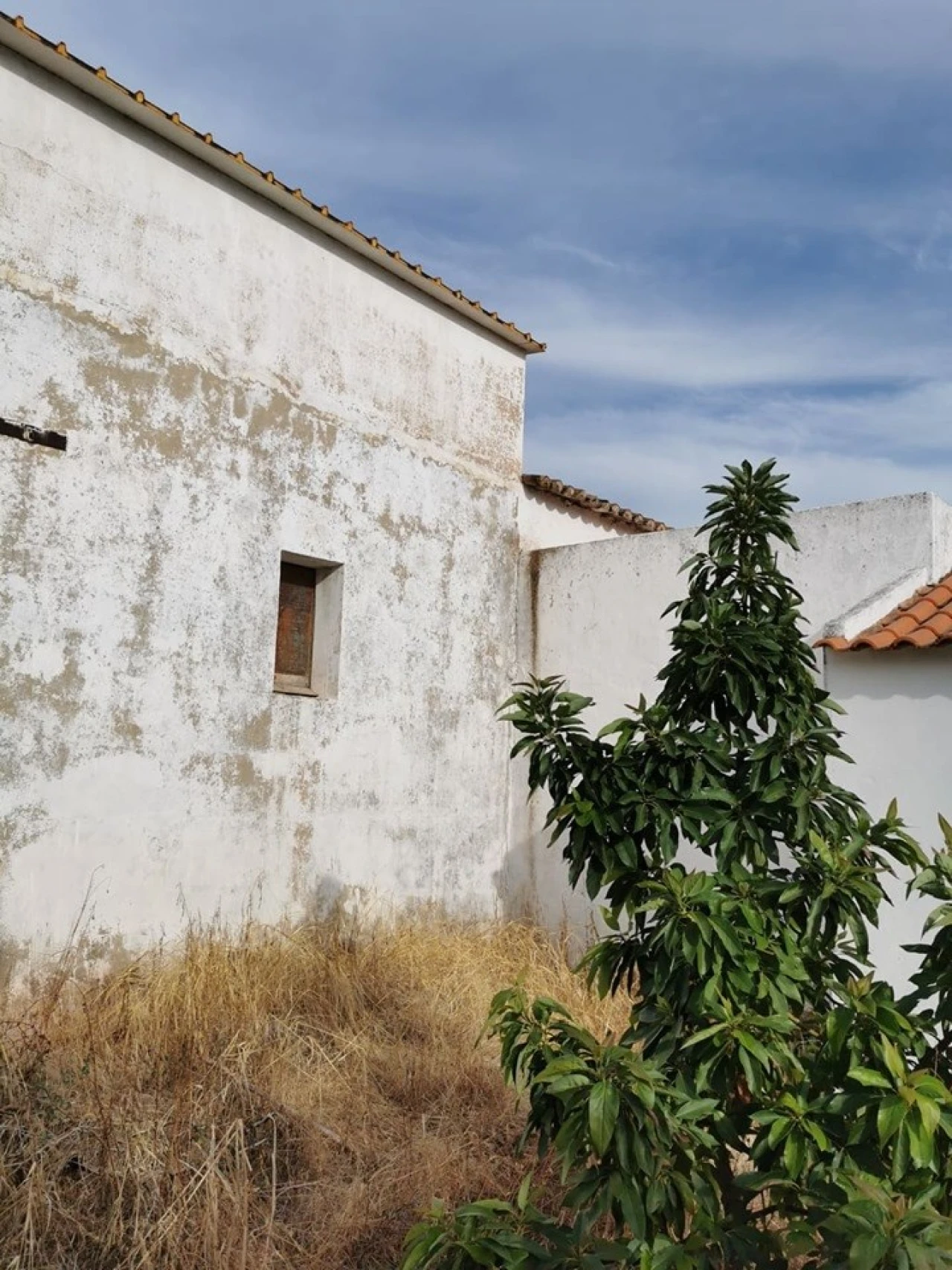 Quinta para Venda em São Silvestre Foto 3