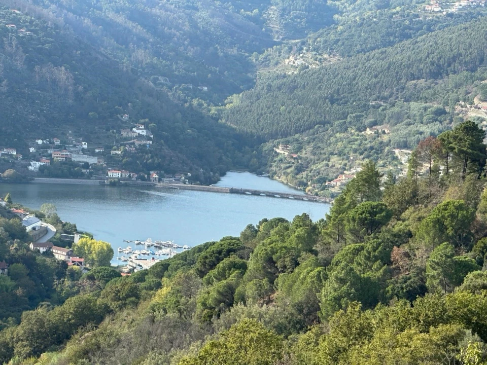 Moradia T3 para Venda em Anreade e São Romão de Aregos Foto 8