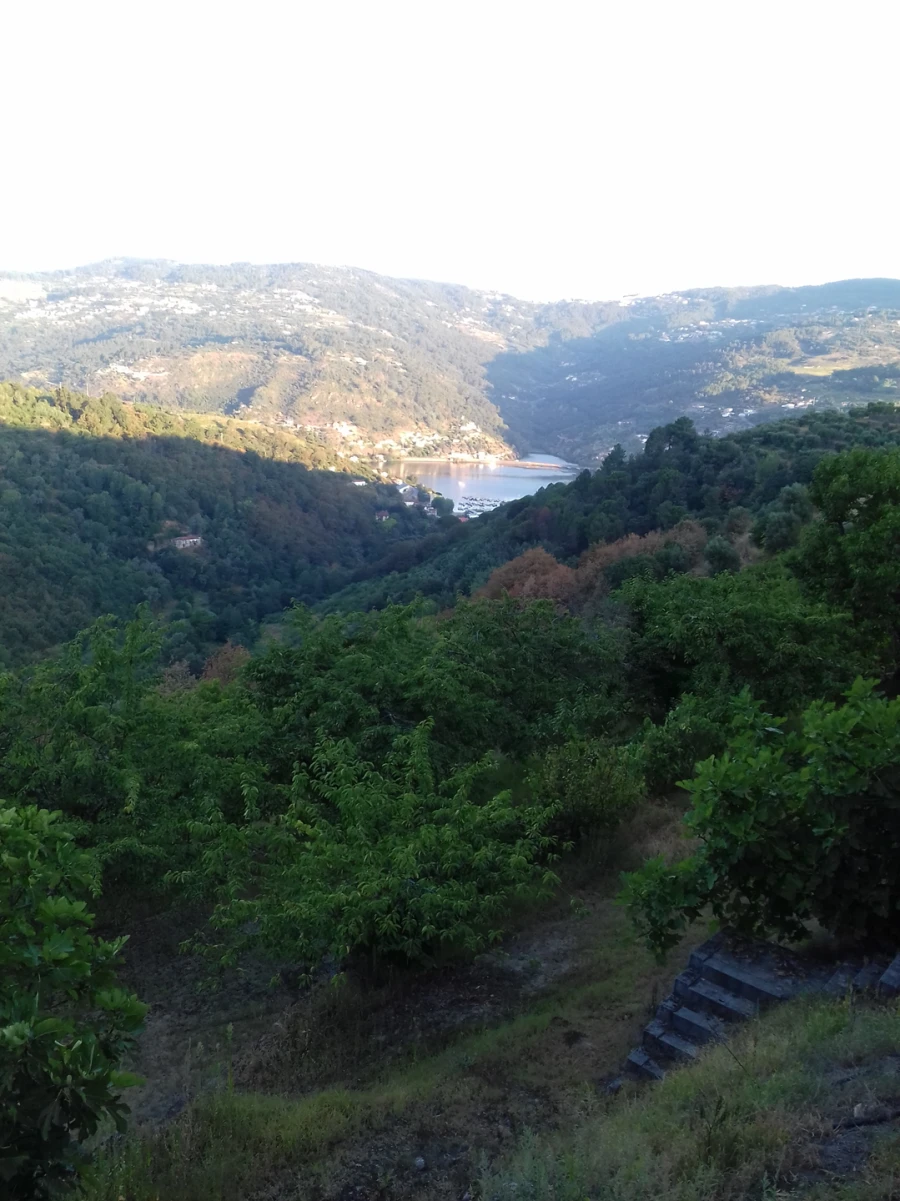 Moradia T3 para Venda em Anreade e São Romão de Aregos Foto 5