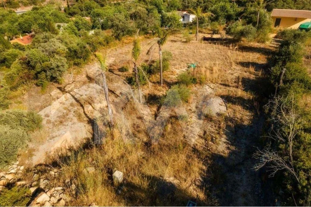 Terreno para Venda em Loule (São Clemente) Foto 26