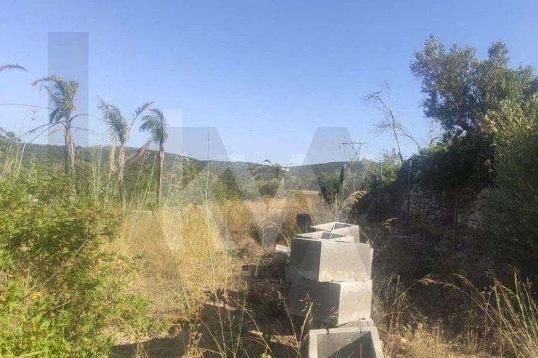 Terreno para Venda em Loule (São Clemente) Foto 13